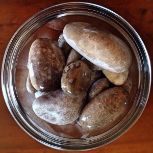 bowl of pretty rocks, collection